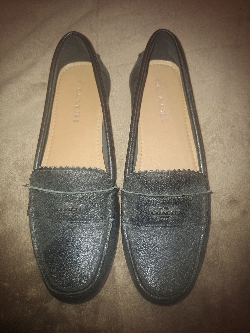 Coach Black  Leather Shoe